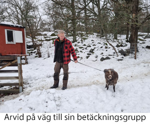 Pa vag 2022.jpg